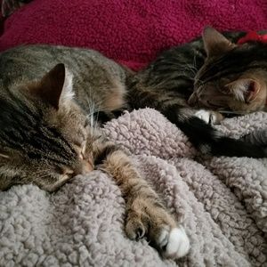 Meet your Posher, Stepbanie